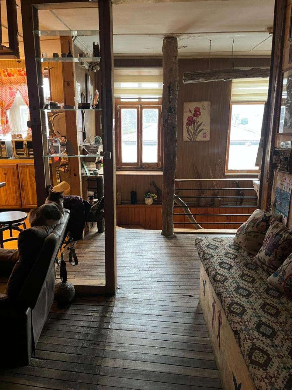 Hostel La Morenita 蓬塔阿雷纳斯 外观 照片